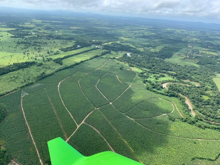 Vista aérea do Sítio Quilombo em Registro/SP