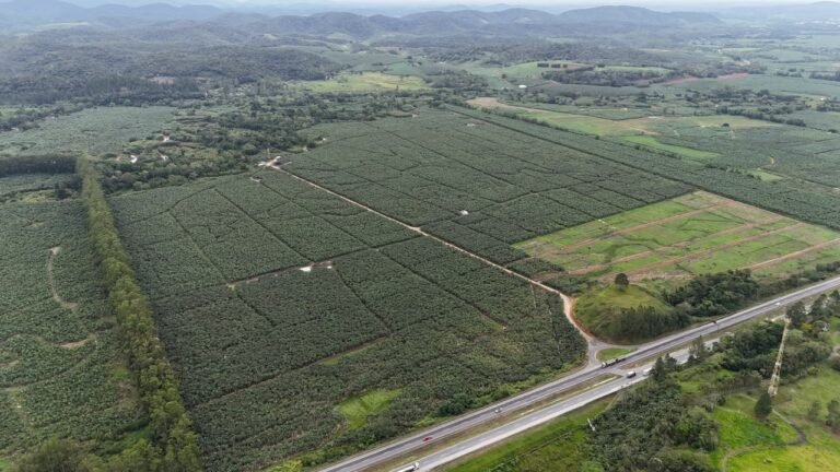Vista aérea da Fazenda Guaraú, em Cajati