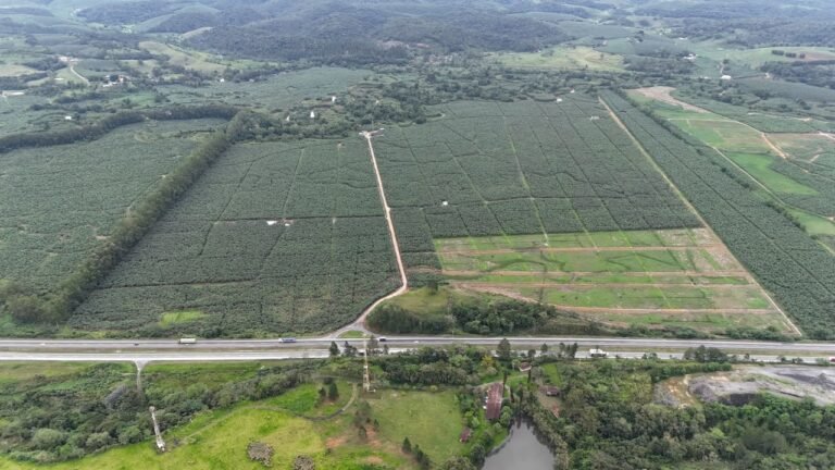 Vista aérea da plantação da Fazenda Guaraú
