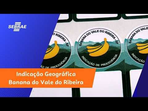 Selos da Banana do Vale do Ribeira na capa do vídeo do Sebrae SP sobre Indicação Geográfica.